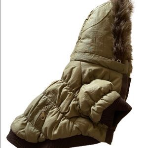 Small dog puffer jacket